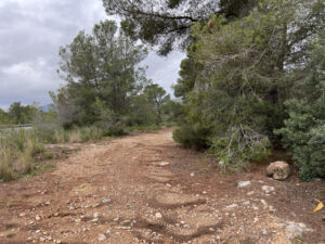 Barraca de Miquel Terna - Imatge 3