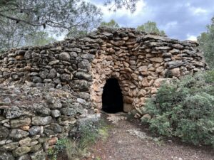 Barraca de Miquel Terna - Imatge 1