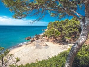 CALA CALIFÒRNIA