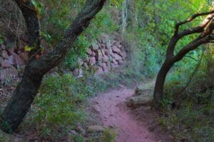 Camí dels Carlins