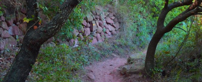 Camí dels Carlins