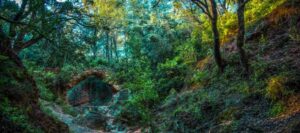 El barranc de la Mina de les Nines - Imatge 1