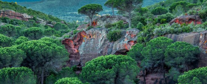 L’Areny el país roig - Imatge 1