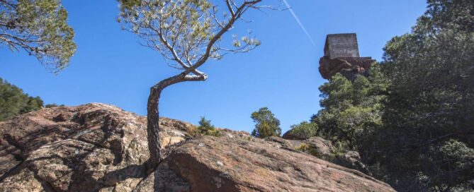 Mont-roig, Sant Ramon