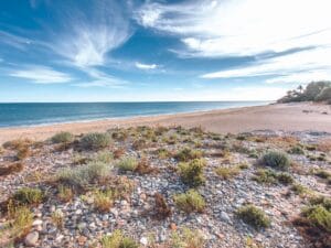 PLATJA DE L’ESTANY GELAT