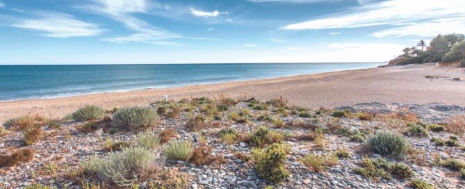 PLATJA DE L’ESTANY GELAT