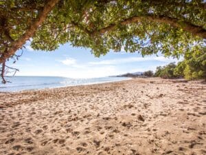 PLATJA DE RIUDECANYES