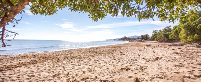 PLATJA DE RIUDECANYES