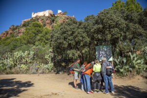 Operació Mont-roig