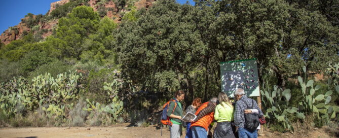Operació Mont-roig