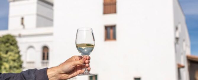 Miró i el vi, visita amb tast