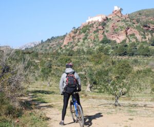 RUTA CICLOTURÍSTICA DE L’OLI | 49 km