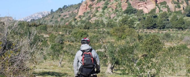 RUTA CICLOTURÍSTICA DE L’OLI | 49 km